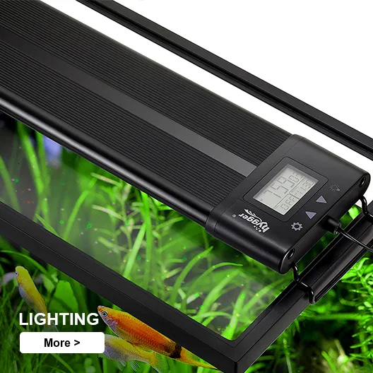 aquatics lighting