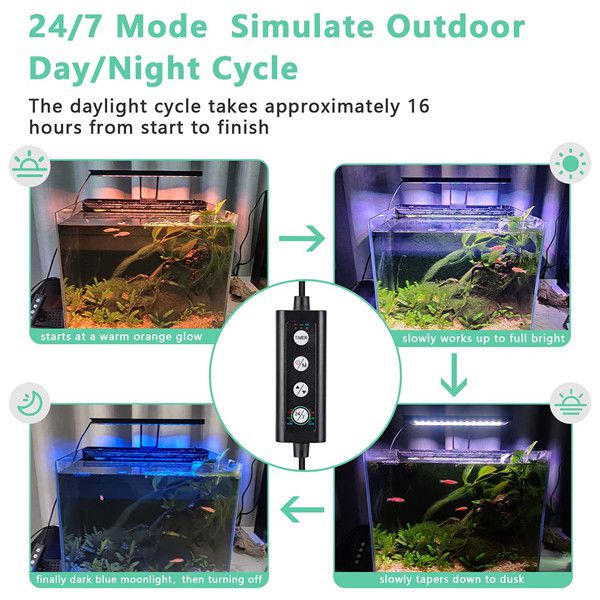hygger Clip On 24/7 Lighting Aquarium LED Light, Adjustable  Timer/Brightness for Planted Tank - Hygger Wholesale