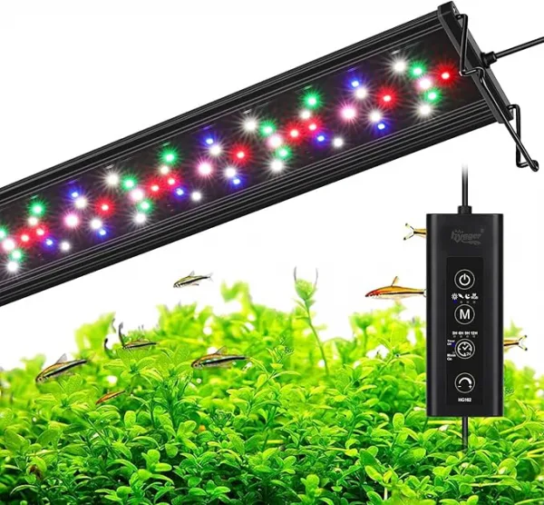 Lights