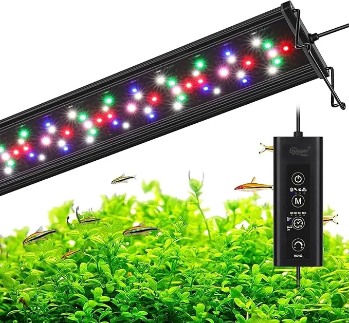 Lights