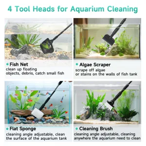 Cleaning & Maintenance