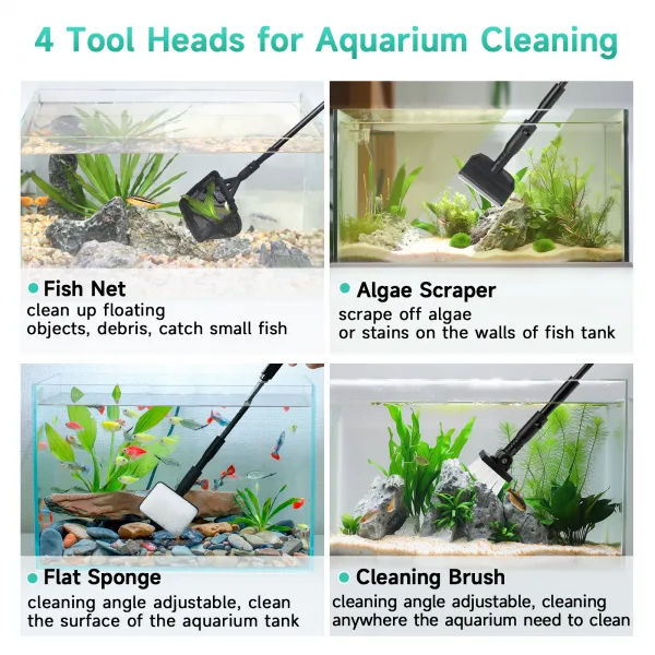 Cleaning & Maintenance