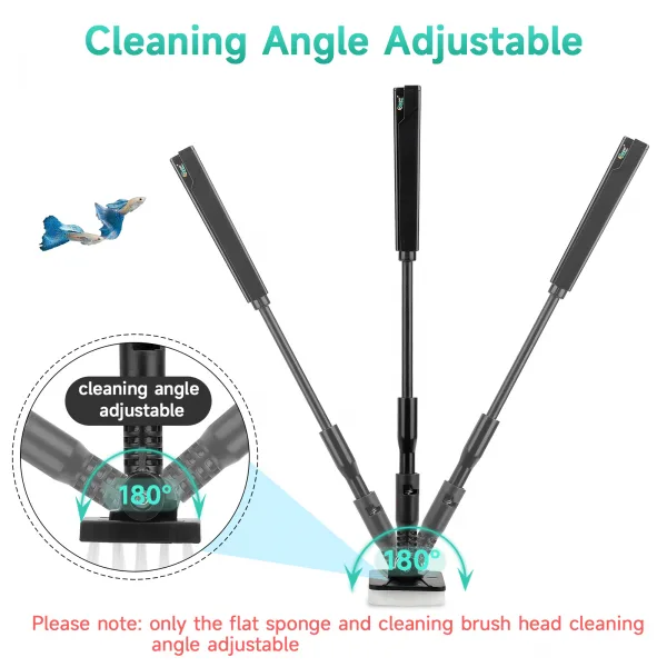 Cleaning & Maintenance
