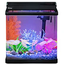 Hygger aquarium with colorful coral, fish, and purple lighting for home decoration