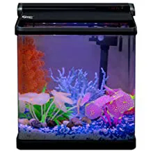 Hygger aquarium with colorful fish, coral, and blue gravel, ideal for home decoration