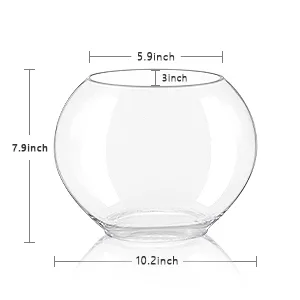 Hygger round glass aquarium with dimensions 5.9in diameter, 3in height, 7.9in overall height, and 10.2in base diameter for fi