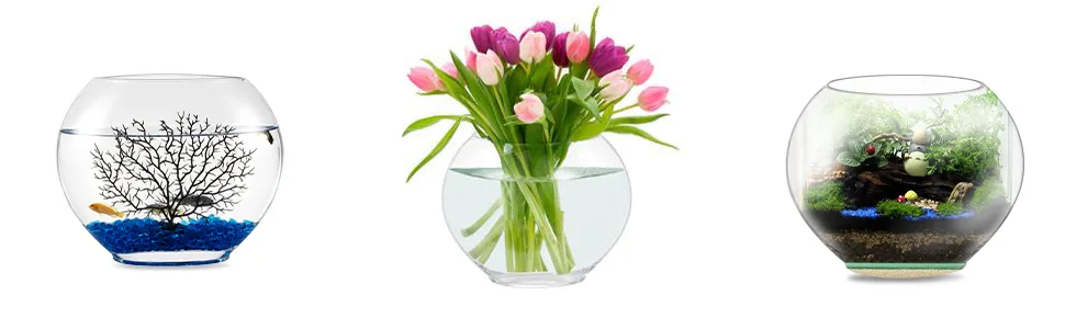 Three hygger aquariums: fish bowl with coral, tulip vase, and terrarium with plants and rocks