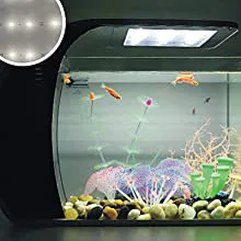 Hygger aquarium with colorful fish, decorative plants, and pebbles in a modern tank design