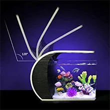 Modern curved aquarium with vibrant fish and coral, LED lighting, and decorative elements for home decor.