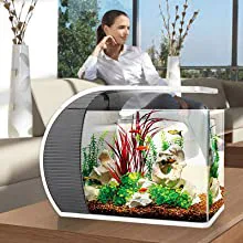 Modern hygger aquarium with fish, plants, and decorative stones in a living room setting