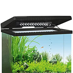 Hygger aquarium with LED light, plants, rocks, and fish for home decoration
