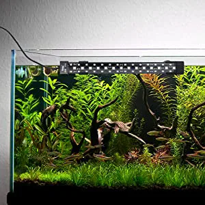 Hygger aquarium with lush green plants, driftwood, and vibrant fish under LED lighting