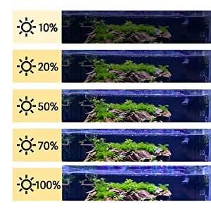 Hygger aquarium with different lighting levels (10%, 20%, 50%, 70%, 100%) showing plant growth variations