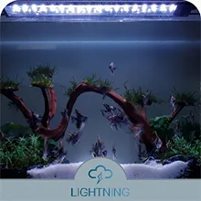 Hygger aquarium with vibrant fish, lush plants, and decorative driftwood under LED lighting