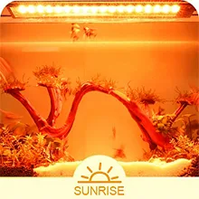 A vibrant aquarium with a red bonsai tree, aquatic plants, and a glowing LED light bar, branded with SUNRISE.