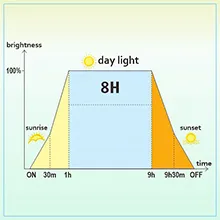 Hygger aquarium lighting schedule showing 8-hour daylight cycle with sunrise/sunset times and brightness levels.
