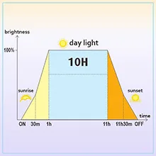 Hygger aquarium lighting schedule showing 10-hour daylight cycle with sunrise/sunset phases for optimal fish health