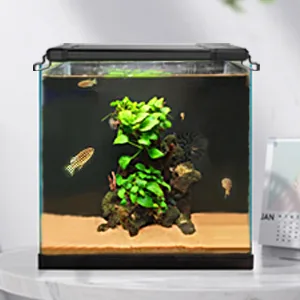 Hygger aquarium with lush green plants, decorative rocks, and fish swimming in a modern glass tank.
