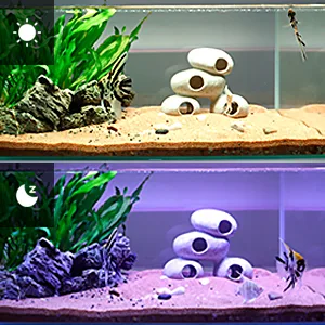 Hygger aquarium with decorative rocks, green plants, and eye-shaped stones in sandy substrate, showcasing two different setup