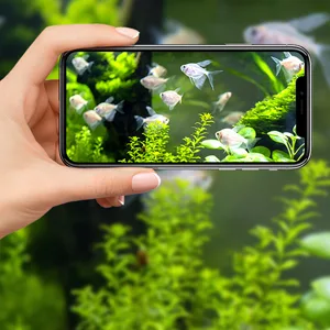 Hand holding smartphone displaying vibrant aquarium with fish and plants, showcasing Hygger Aquarium's digital experience