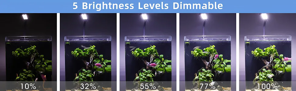 Hygger aquarium with 5 dimmable brightness levels (10%, 32%, 55%, 77%, 100%) showing fish and plants in different lighting co