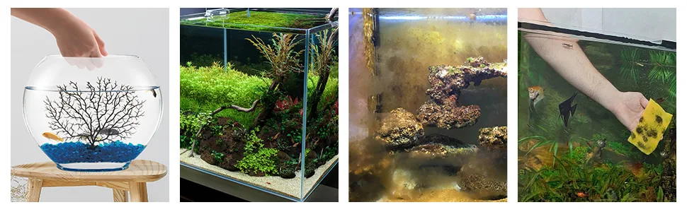 Hygger aquarium setup with vibrant plants, rocks, and fish in a glass tank, showcasing a natural underwater ecosystem.