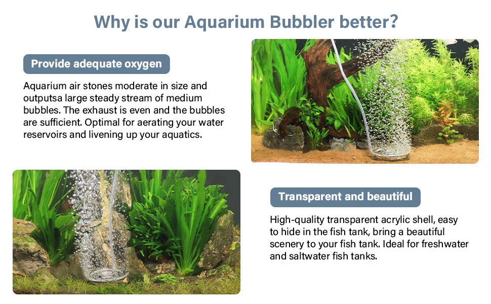 Aquarium bubbler with steady medium bubbles, providing oxygen for fish tanks. Transparent acrylic shell for freshwater and sa