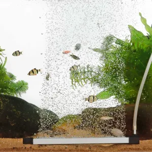A vibrant aquarium with tropical fish, lush plants, and bubbling water, showcasing a well-maintained home aquarium setup.