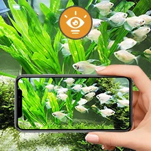 Hand holding smartphone displaying hygger aquarium app with fish and plants, showcasing realistic aquarium experience