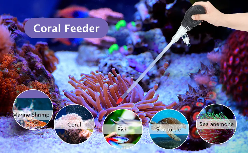 Coral Feeder for aquariums feeding marine shrimp, coral, fish, sea turtle, and sea anemone in a vibrant reef tank