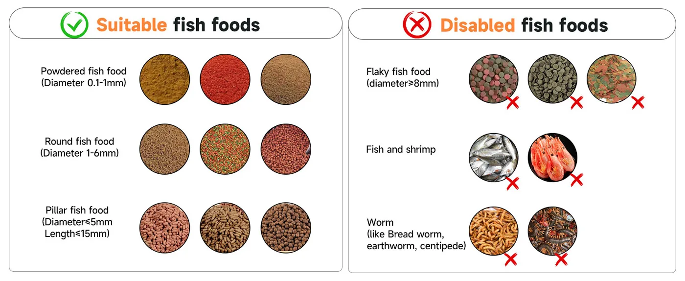 Guide to suitable and disabled fish foods for aquariums with images of powdered, round, pillar, flaky, shrimp, and worm optio