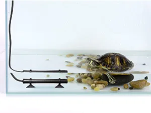 A small aquarium with a turtle, aquatic plants, and gravel, featuring a hygger aquarium setup.