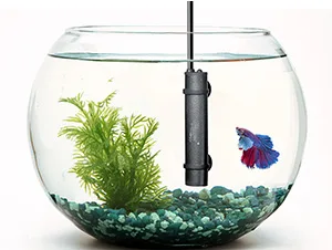 Hygger aquarium with betta fish, green plants, and gravel, featuring a water pump for clean water circulation.