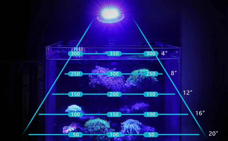 Hygger aquarium lighting guide showing recommended LED wattage per tank depth for optimal coral growth and water quality.