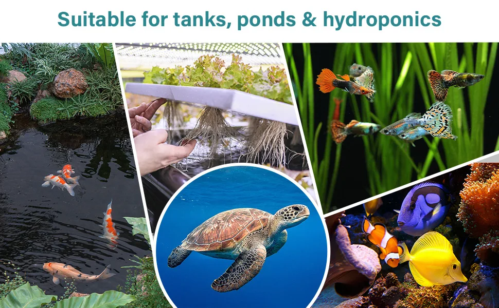 Diverse aquatic life in tanks, ponds, and hydroponics systems with a sea turtle and colorful fish