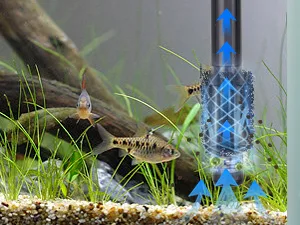 Hygger aquarium with fish, plants, and water filter showing clean water circulation
