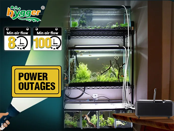 Hygger aquarium system with 8-hour and 100-hour min air flow options, power outage protection, and multi-level tank setup.
