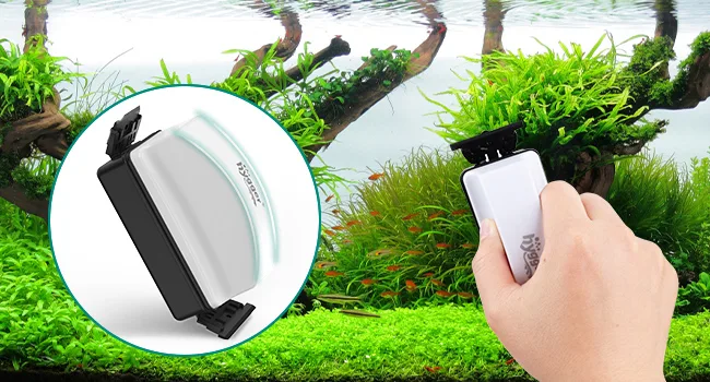 Hand holding Hygger aquarium heater with lush green plants and fish in background