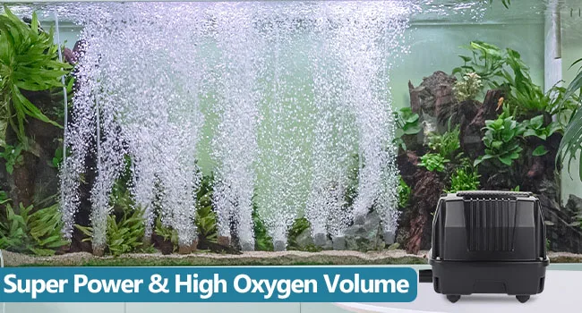 Hygger aquarium air pump with powerful water circulation and high oxygen output for vibrant aquatic plants and fish