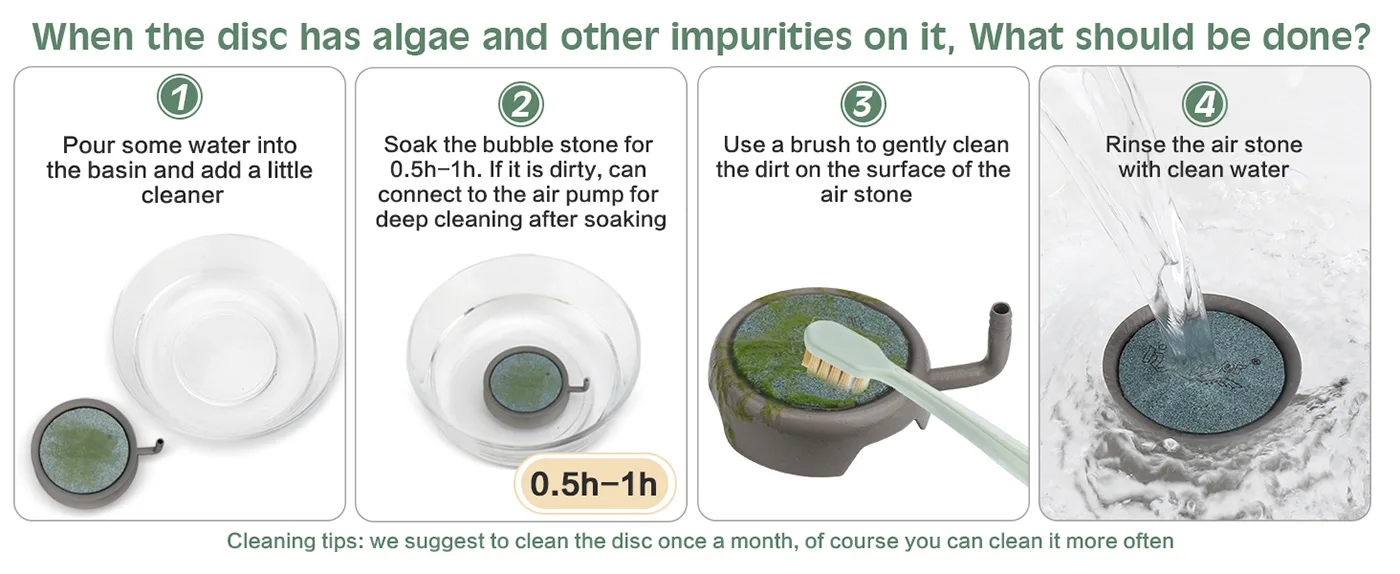 Step-by-step guide to clean algae and impurities from aquarium disc with water, cleaner, brush, and air stone