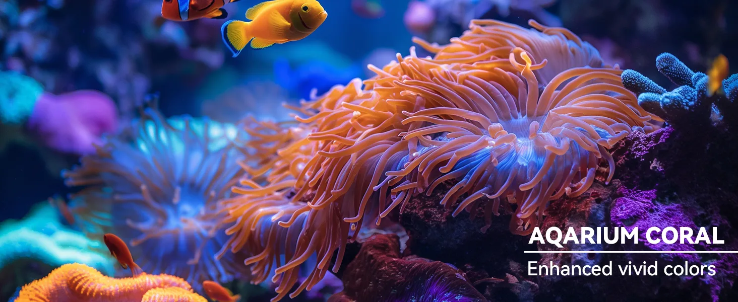 Vibrant aquarium coral with orange anemones and colorful fish in a lively underwater scene