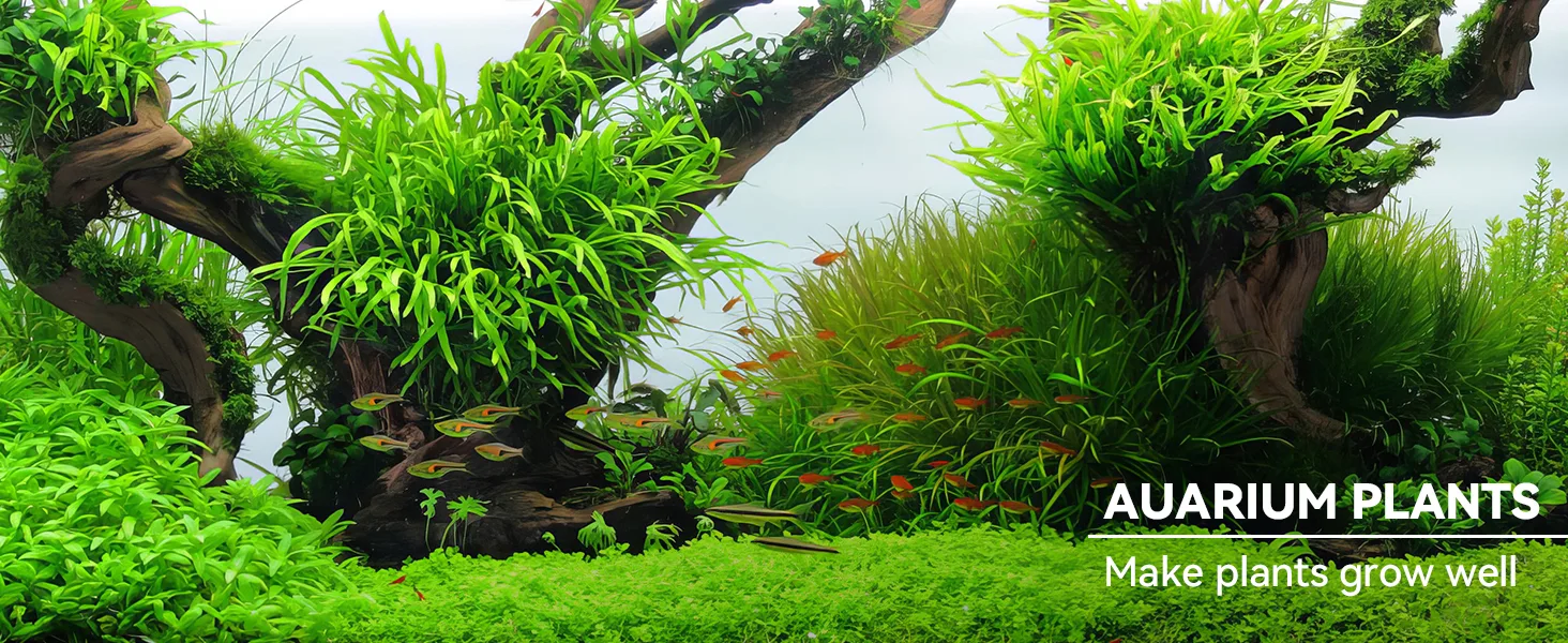 Vibrant aquarium plants with lush greenery and colorful fish swimming in a natural setup