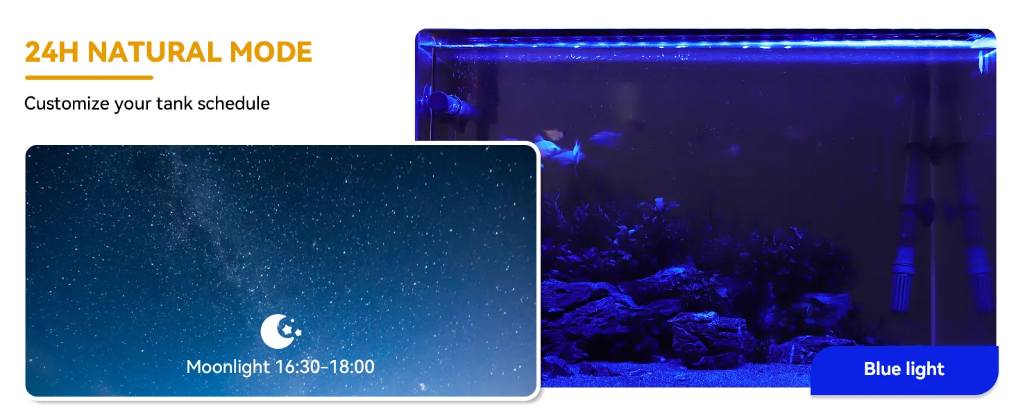 Hygger aquarium 24H Natural Mode with Moonlight schedule 16:30-18:00 and Blue light setting for customized tank lighting