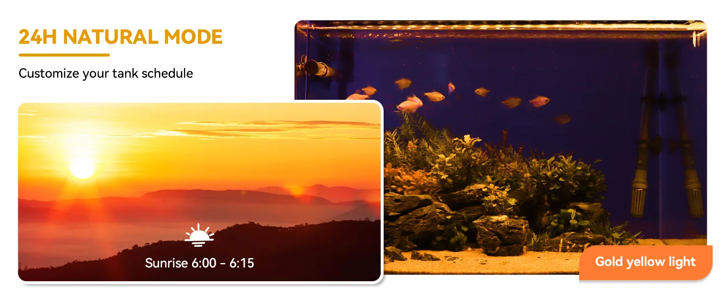 Hygger Aquarium 24H Natural Mode with sunrise schedule and gold yellow light for fish tank customization