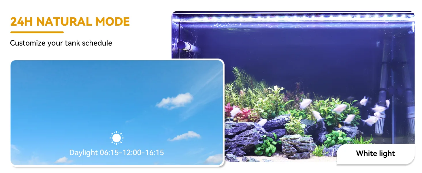 Hygger aquarium 24H Natural Mode with customizable tank schedule showing daylight hours 06:15-12:00-16:15 and white light set