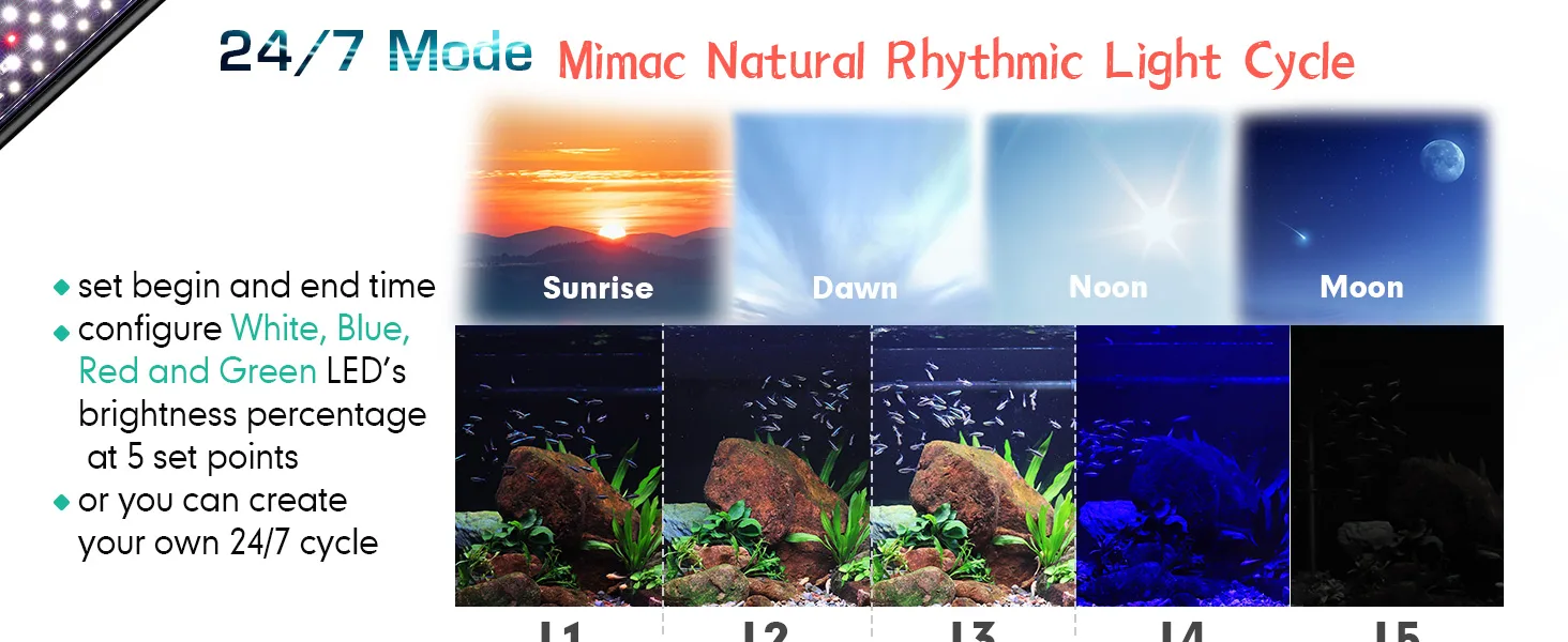 Hygger aquarium lighting system with 24/7 natural rhythmic light cycle, showing sunrise, dawn, noon, and moon phases with adj