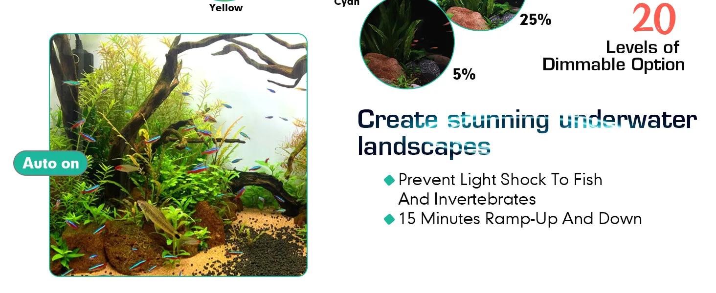 Hygger aquarium lighting system with auto on feature, creating stunning underwater landscapes with 20 dimmable levels and 15-