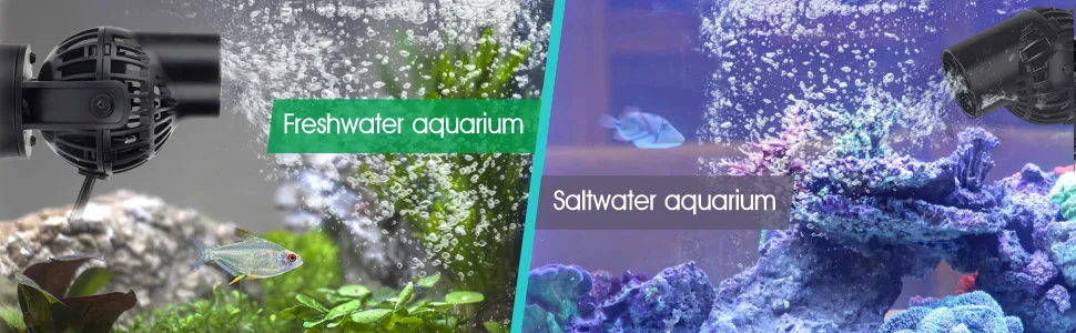Freshwater vs saltwater aquarium comparison with filtration systems and aquatic life