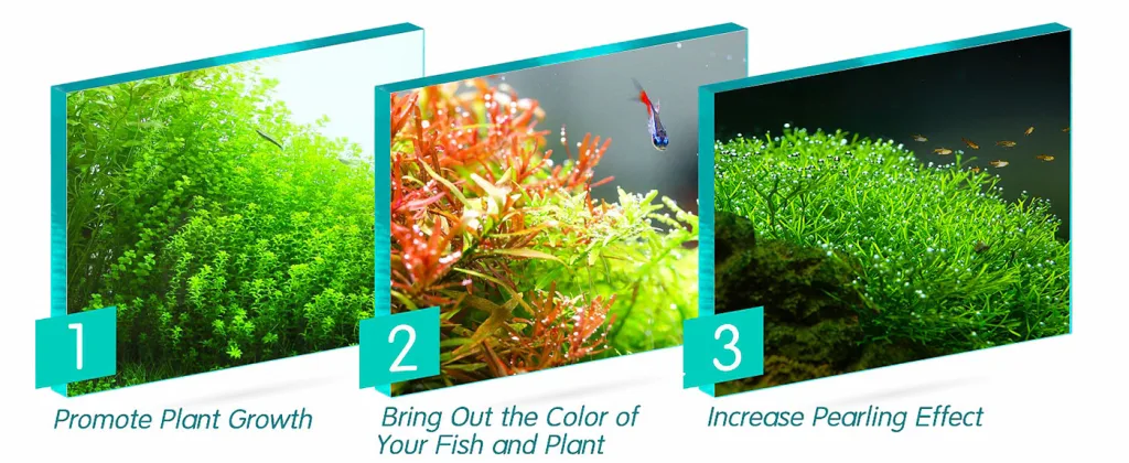Three aquarium images showcasing plant growth, vibrant fish colors, and pearling effect for hygger aquarium products