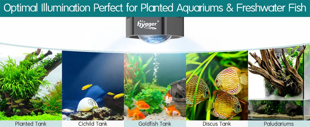 Hygger aquarium light for planted tanks, cichlid, goldfish, discus, and paludariums with optimal illumination